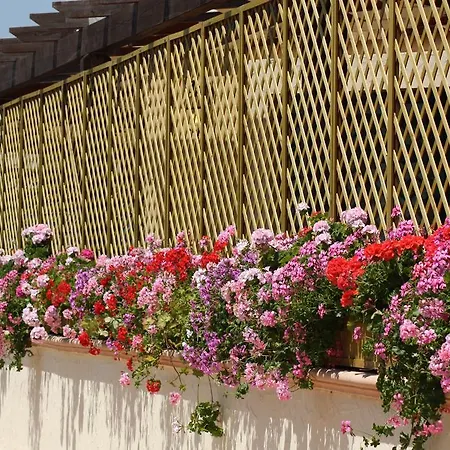 Villaggio Arco Del Saracino 4* Lido Marini